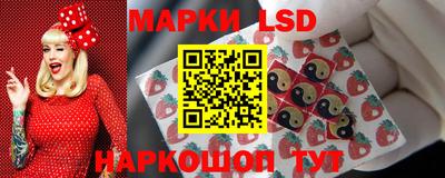PSILOCYBIN Моздок