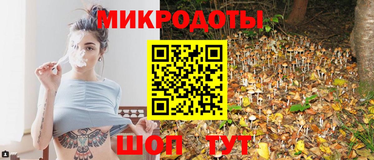 Псилоцибиновые грибы прущие грибы Чернушка